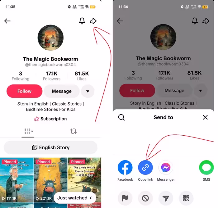 copy-tiktok-link-mobille