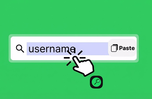 Step 1: Visit the TTViewer website