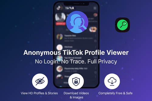 Tiktok profile viewer